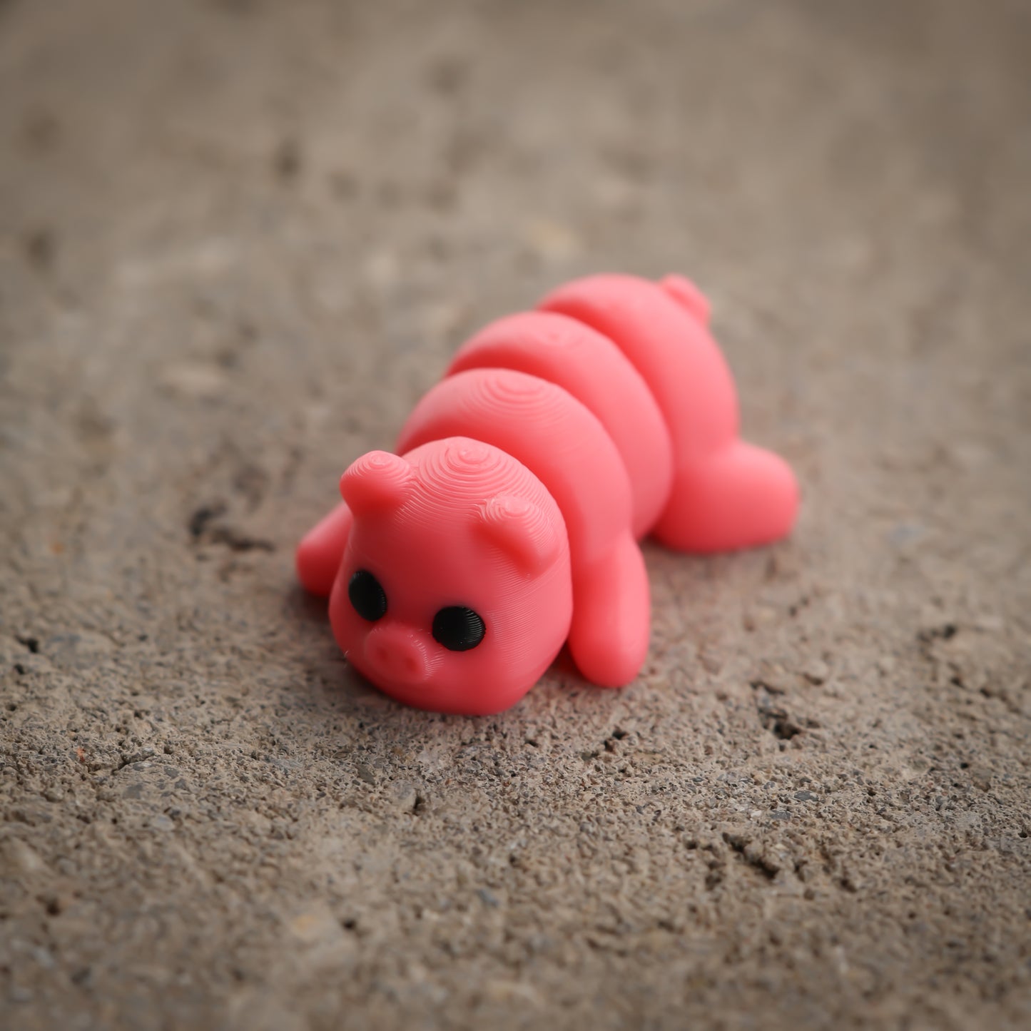 Pig