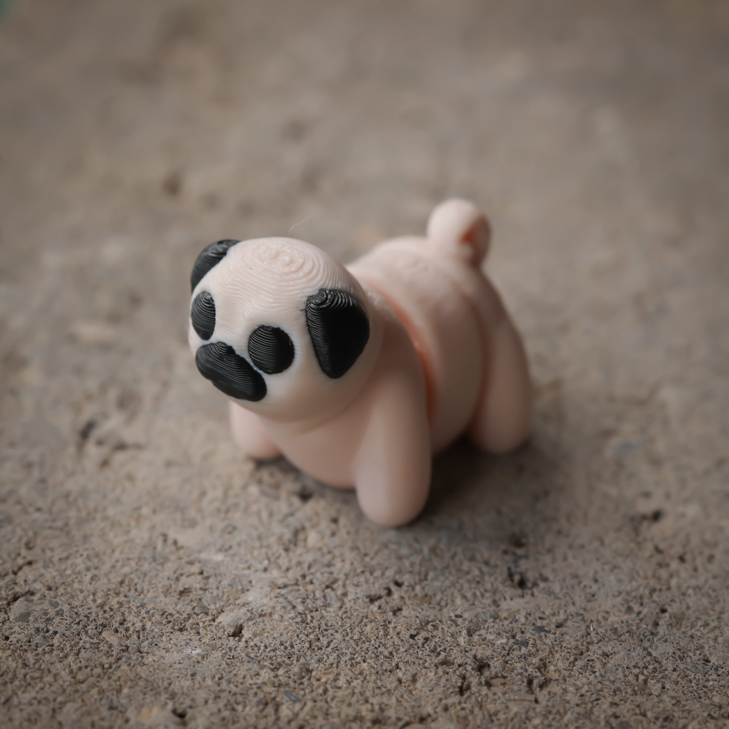 Pug