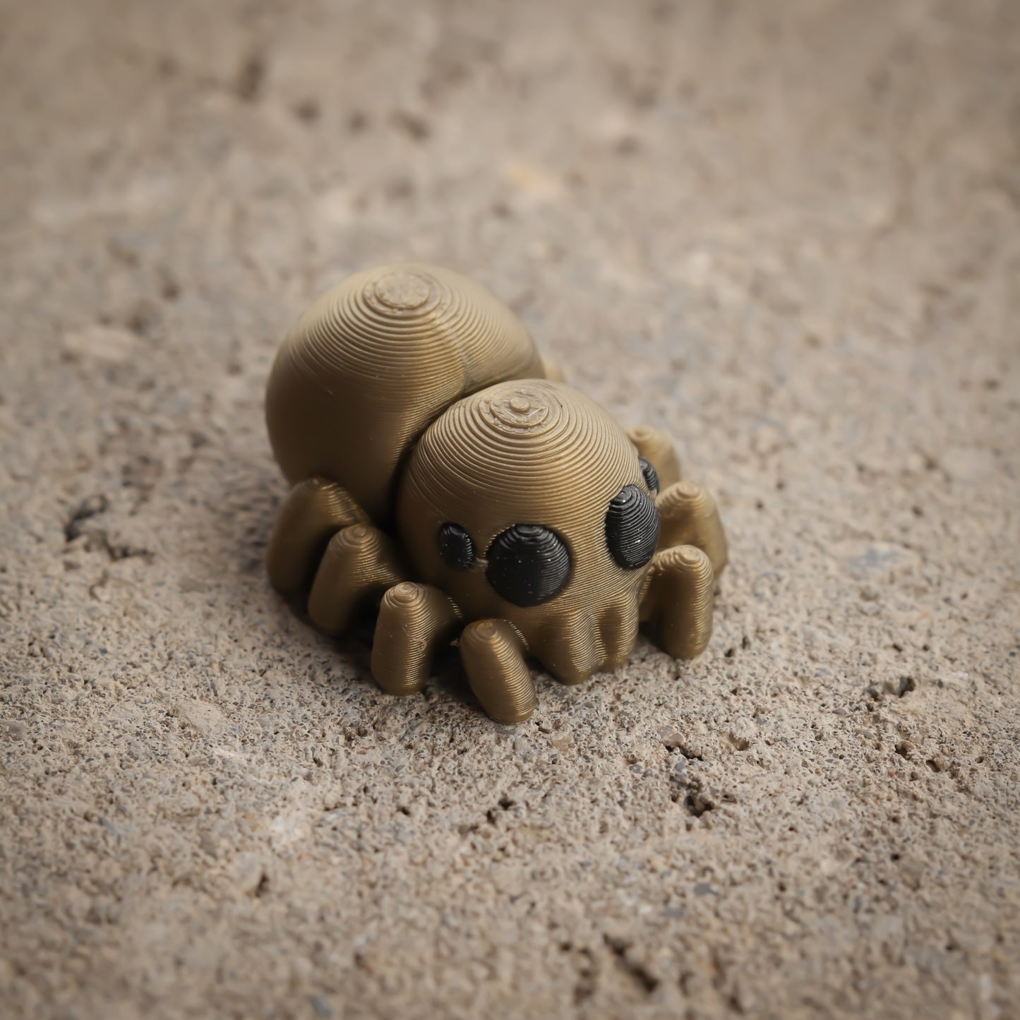 Spider