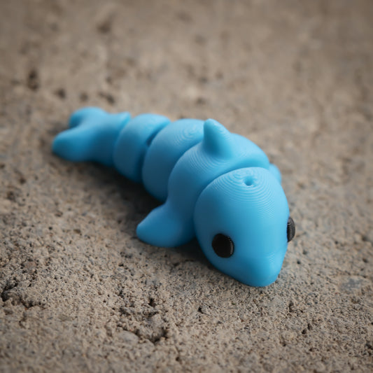 Dolphin