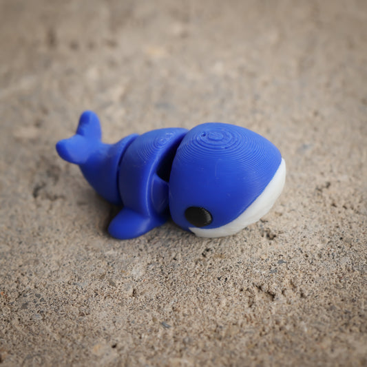 Blue Whale
