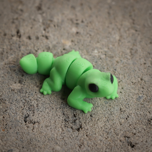 Lizard