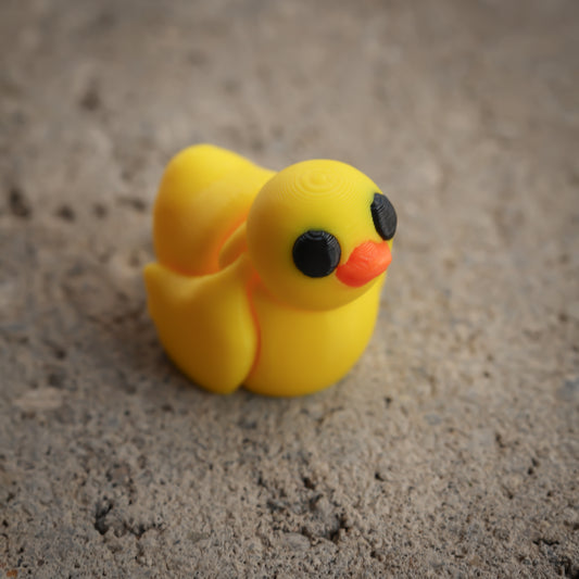 Duck