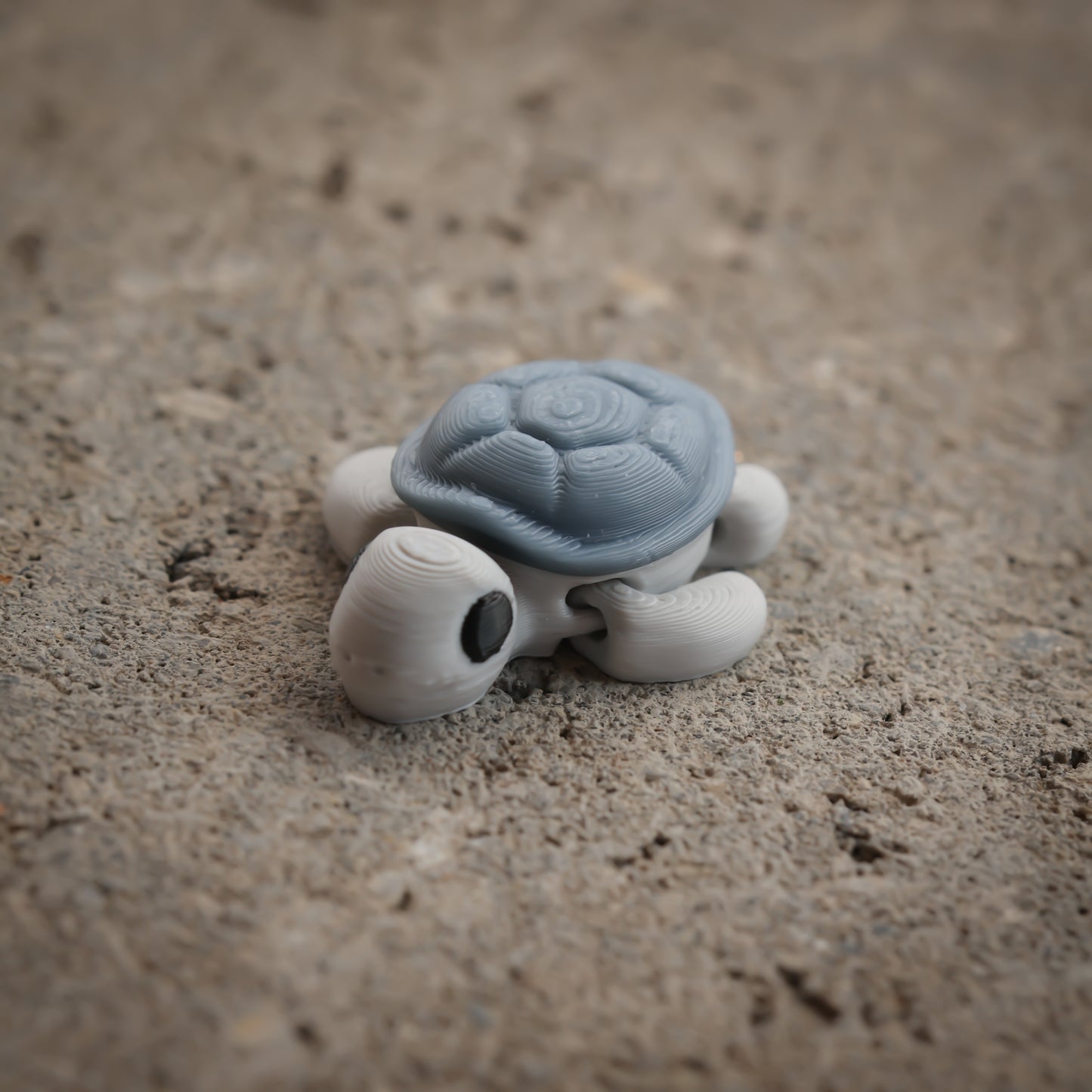 Turtle v2