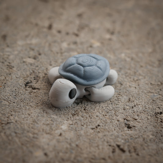 Turtle v2