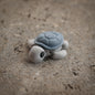 Turtle v2