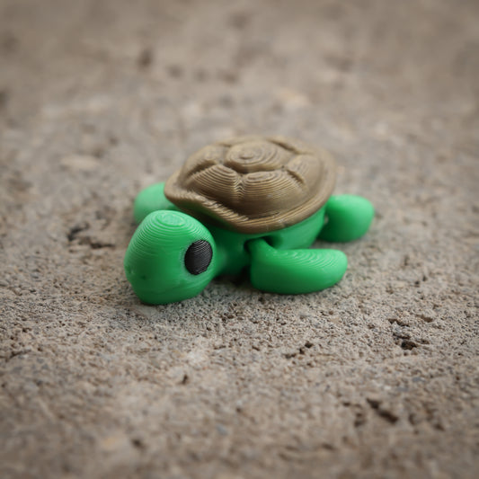 Turtle v1