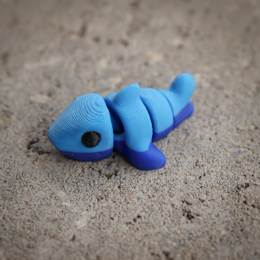 Shark v2