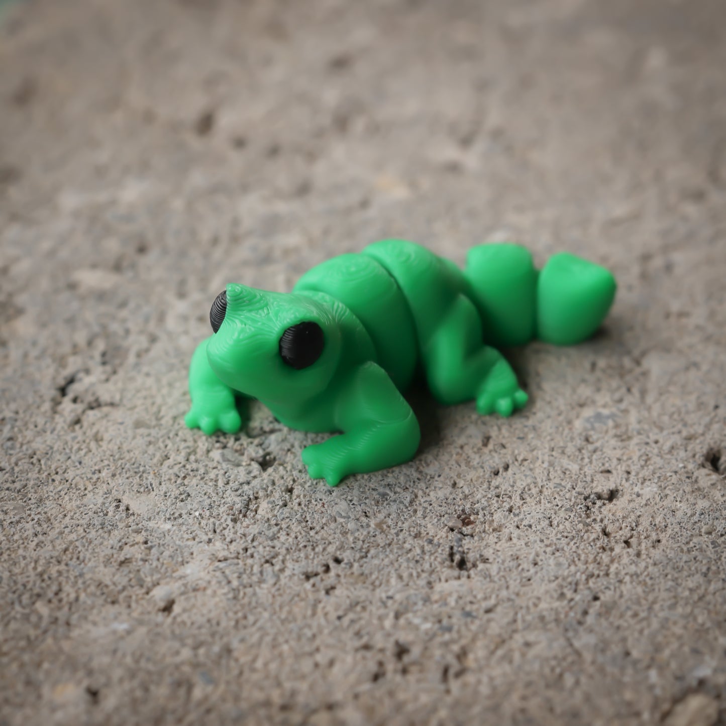 Lizard
