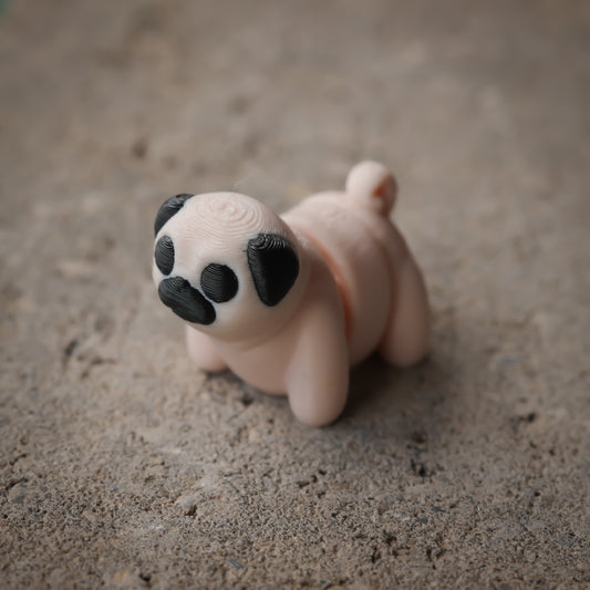 Pug