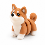 Shiba
