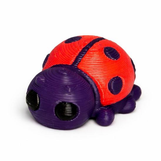 Ladybug