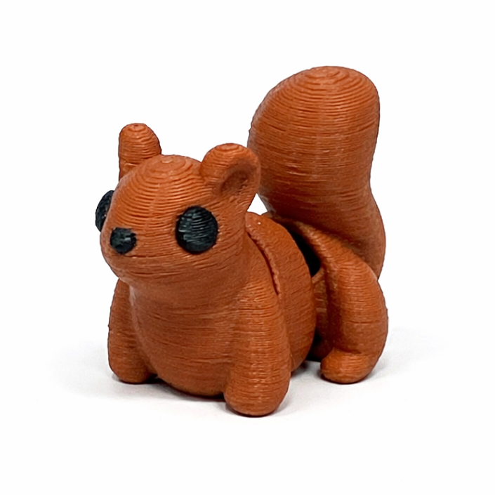 Squirrel