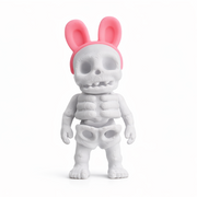 Bunny Skeleton