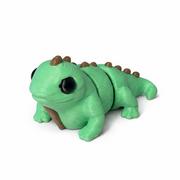 Iguana