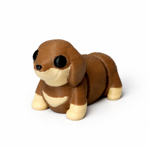 Dachshund