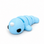 Narwhal
