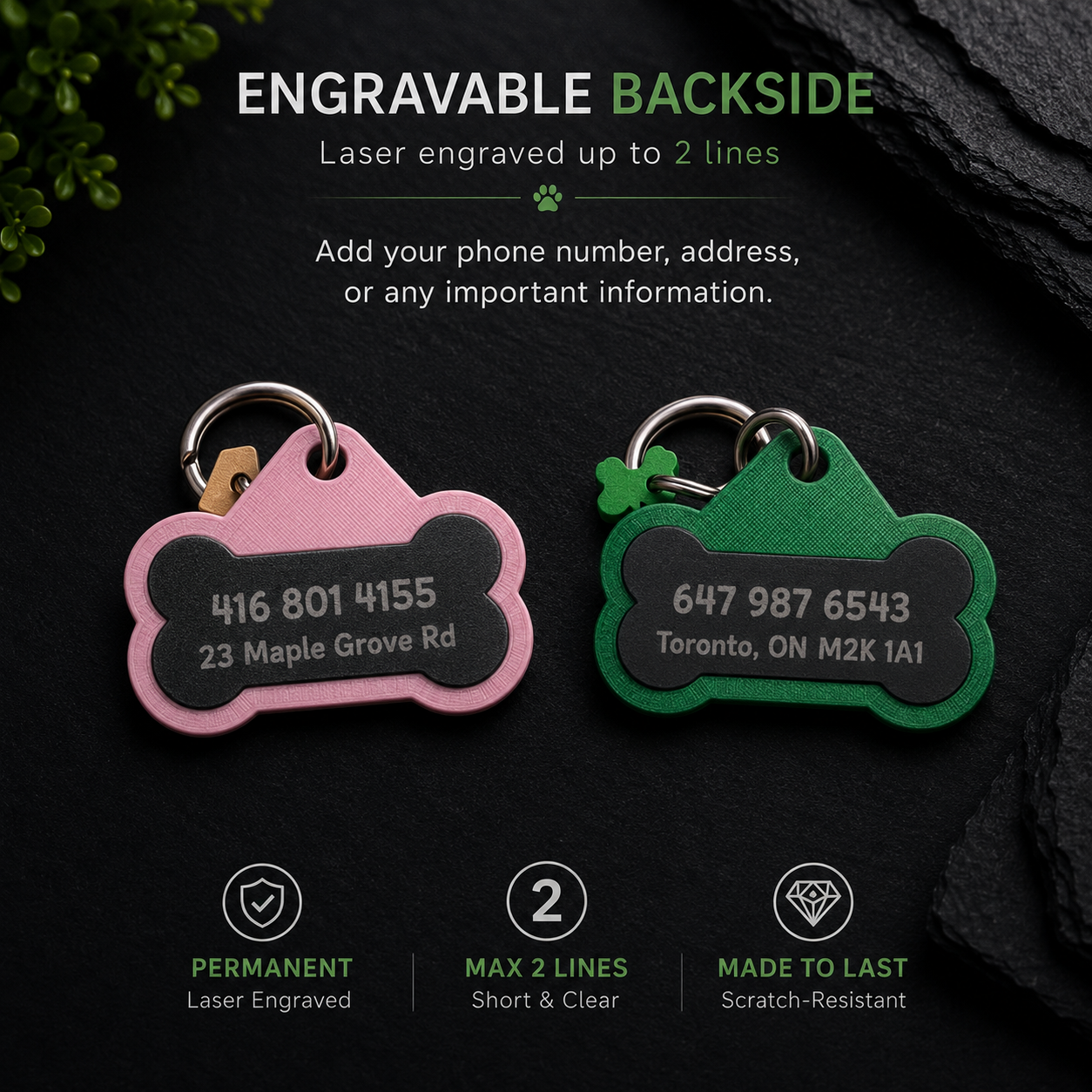 Custom 3D Printed Pet ID Tag