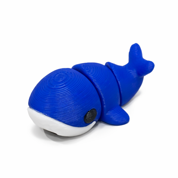Whale