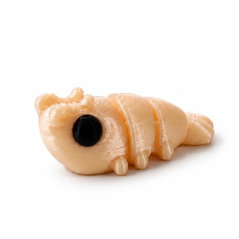 Shrimp