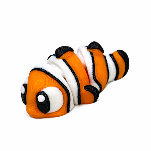 Clown Fish