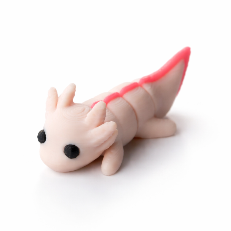 Axolotl