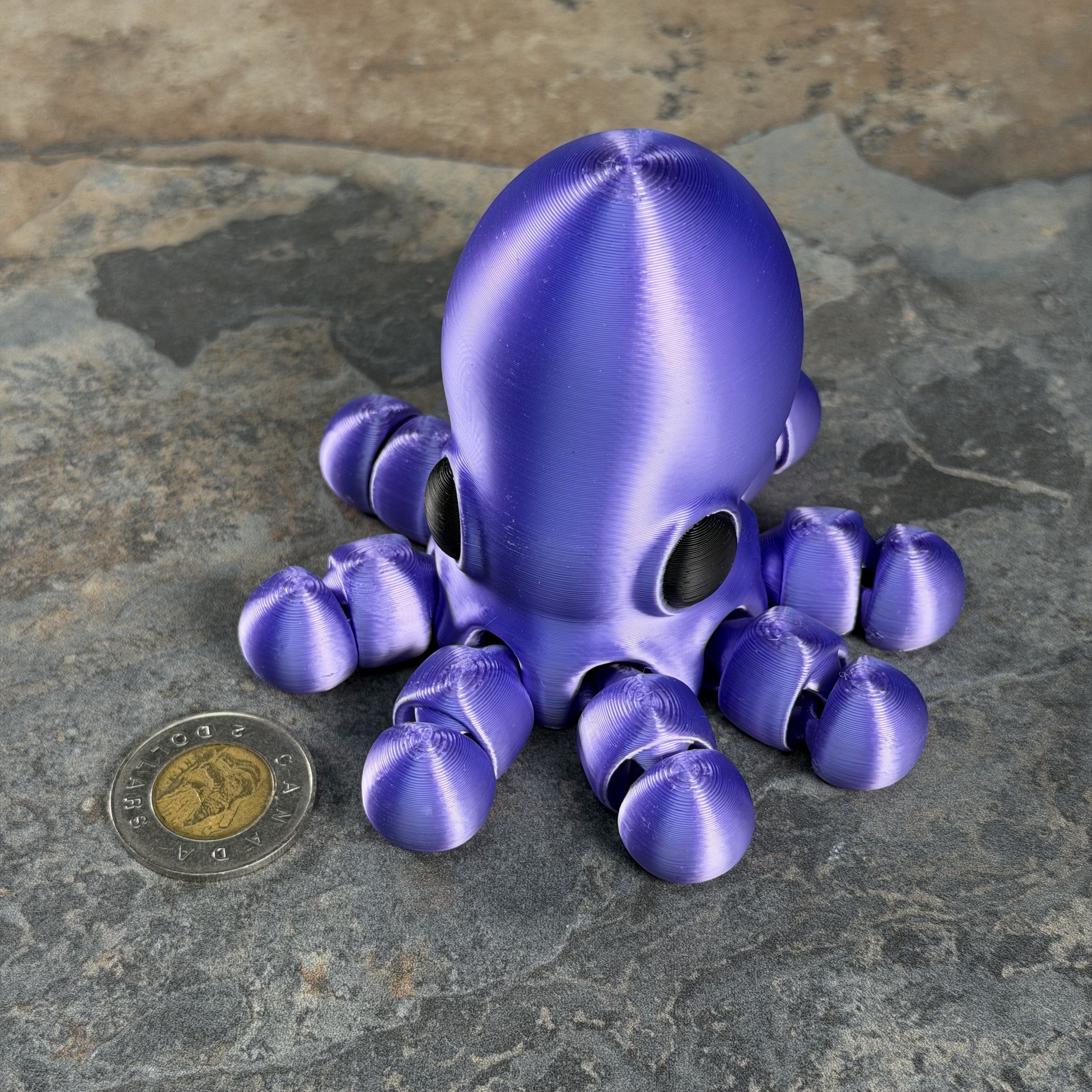 Giant Octopus