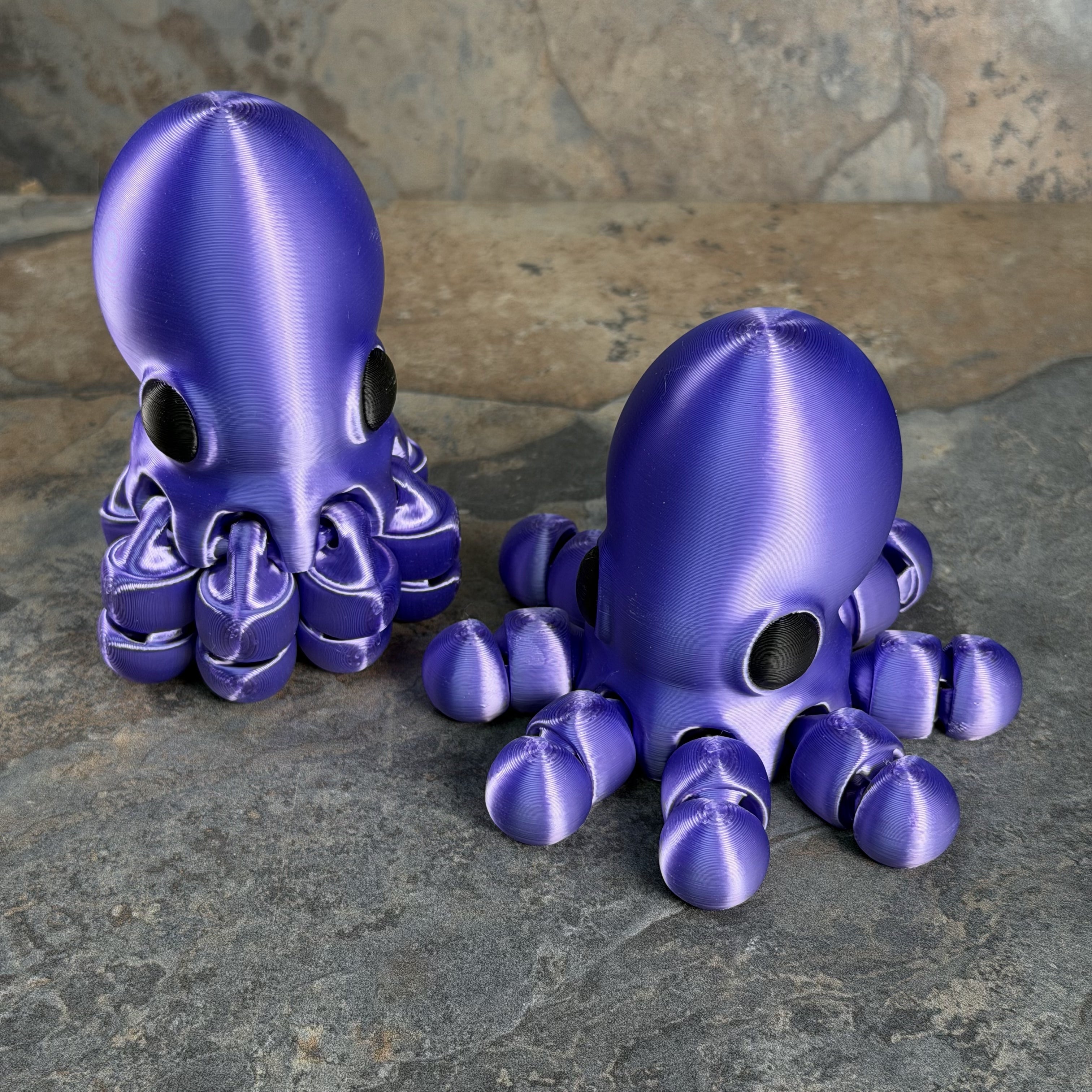 Giant Octopus