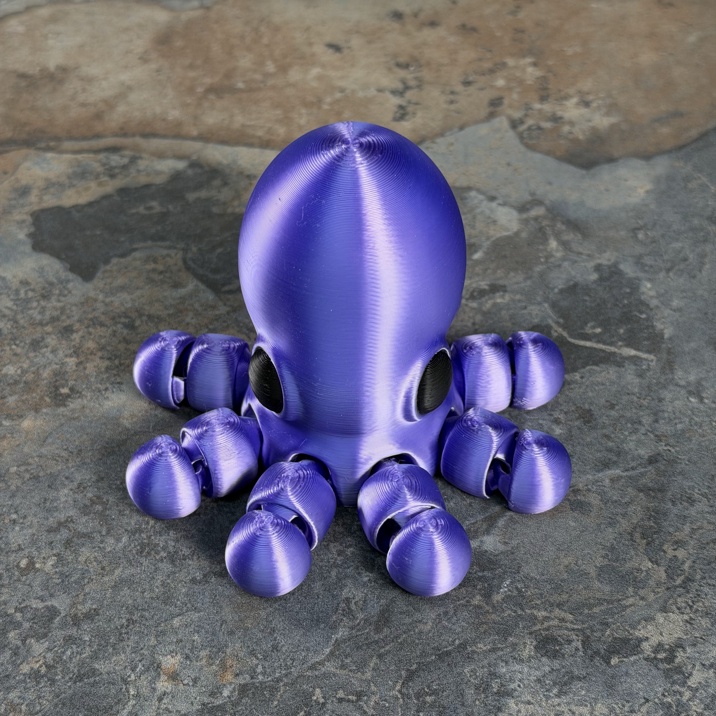 Giant Octopus