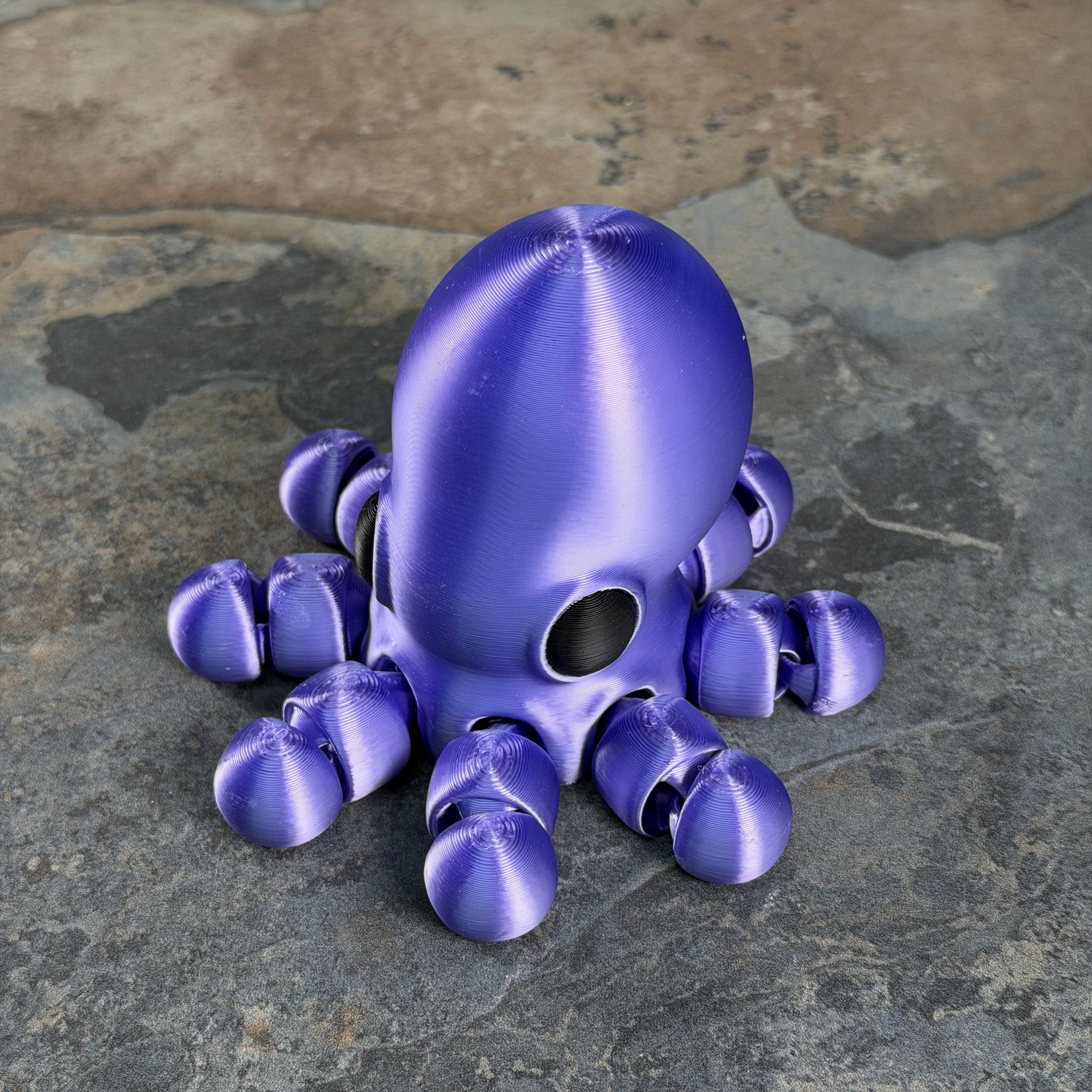 Giant Octopus