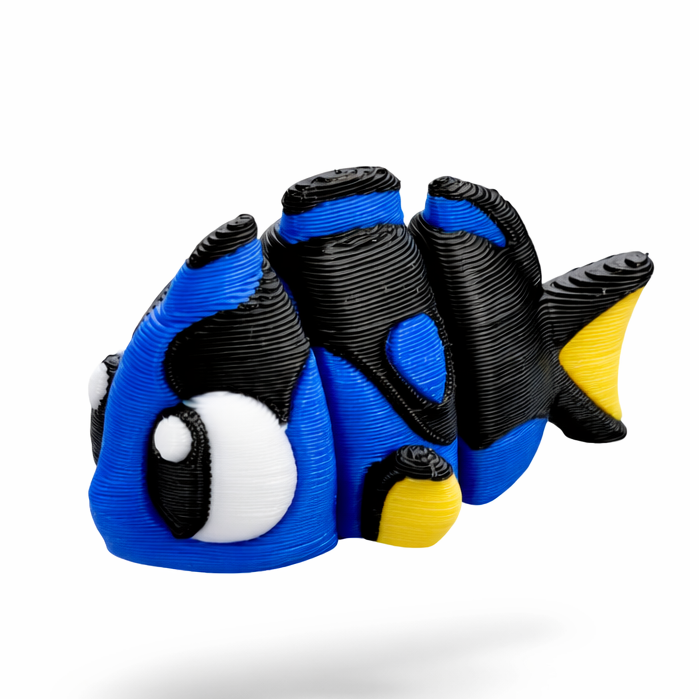 Surgeon Fish